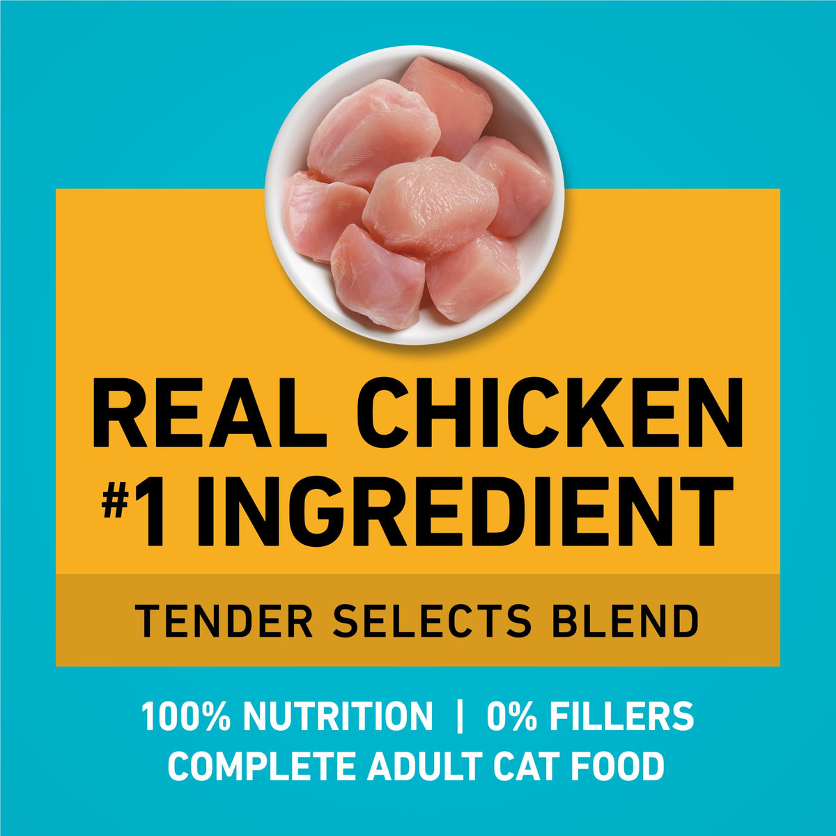 Purina ONE Tender Selects Dry Cat Food, Salmon, 7 lb Bag