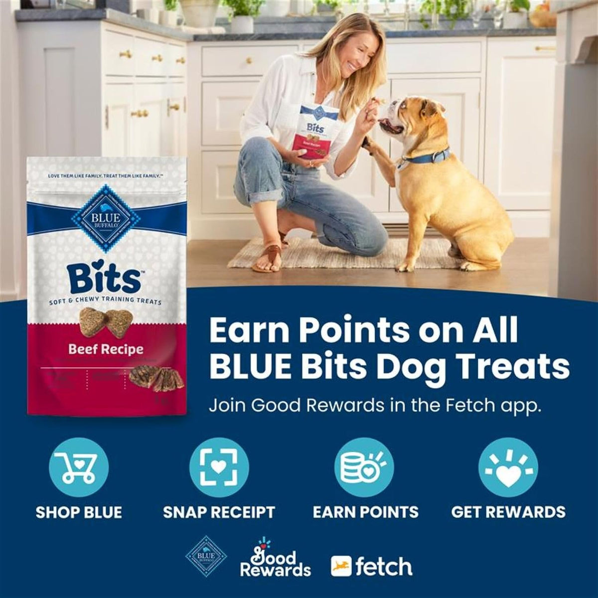 Blue Buffalo Health Bars Pumpkin & Cinnamon Dog Biscuits, 16 oz Father Jim Norris notebooks