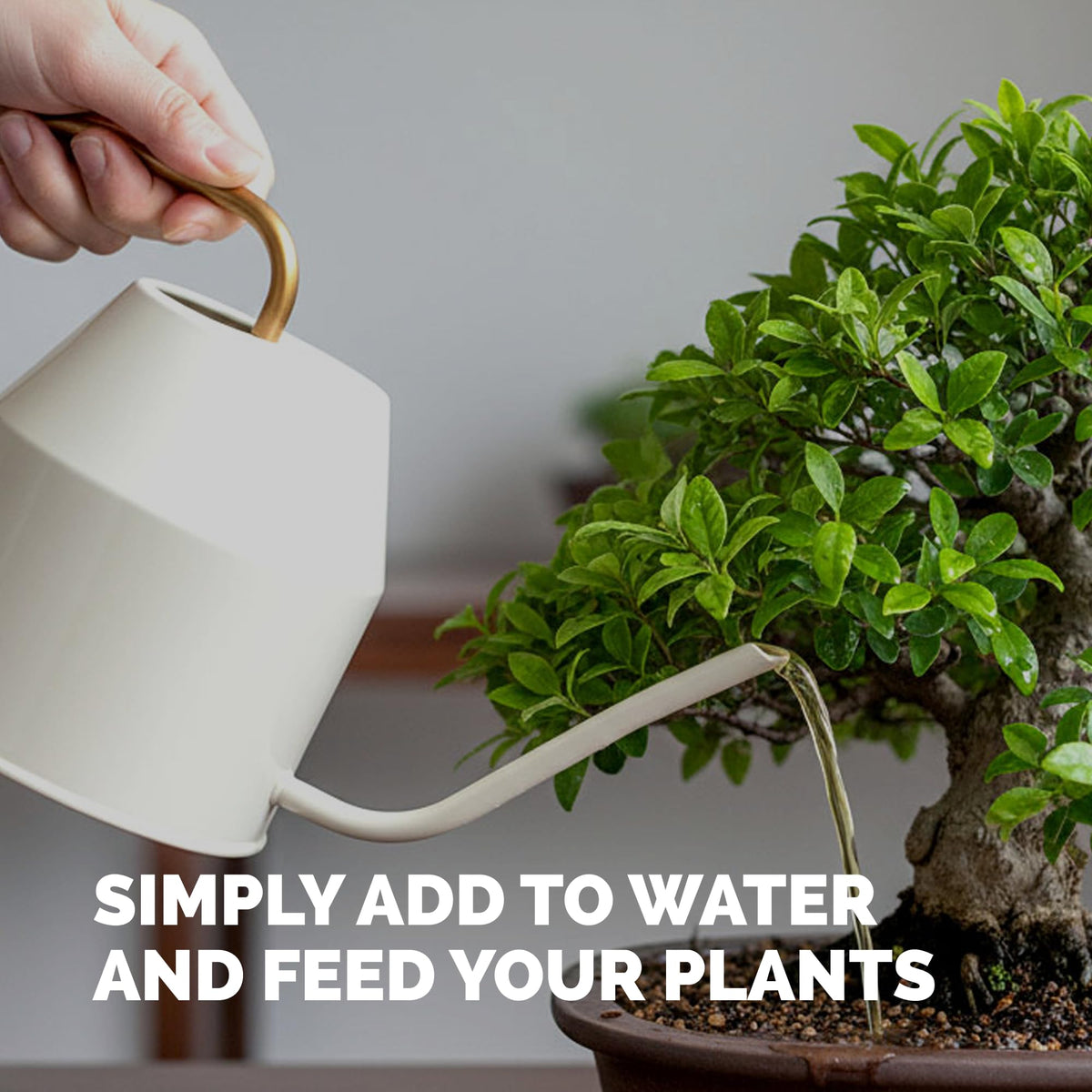 Lemon Tree Fertilizer – Liquid Plant Food for Healthy Growth & Blooms, 8 oz Father Jim Norris notebooks