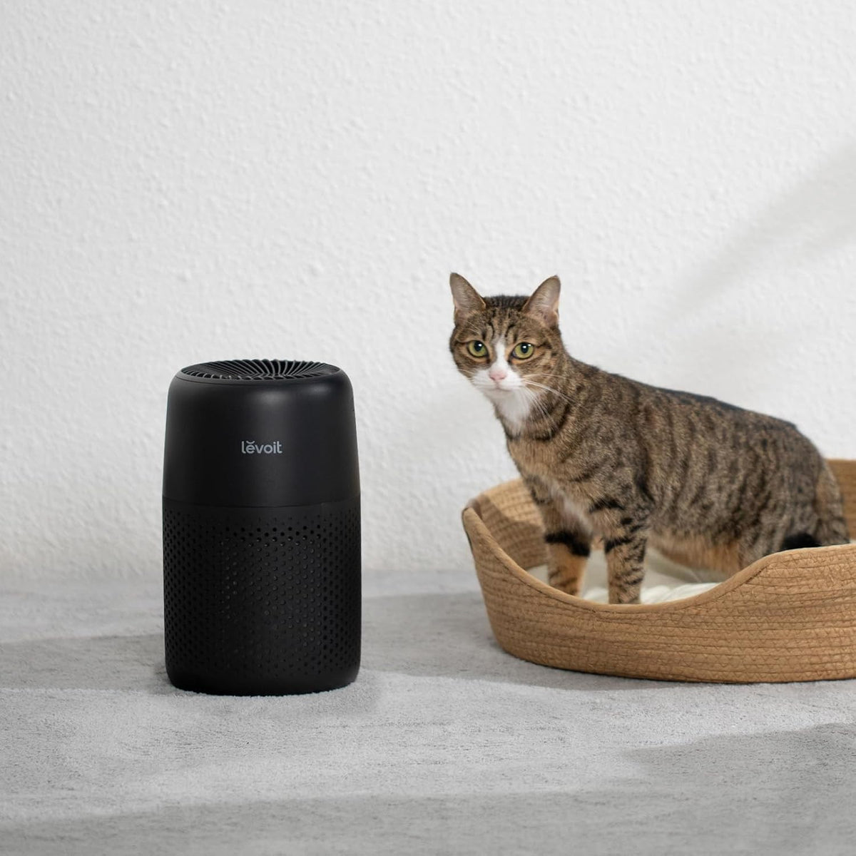 Levoit Air Purifiers for Bedroom Home Pets Dorm Room, Small Air Purifiers
