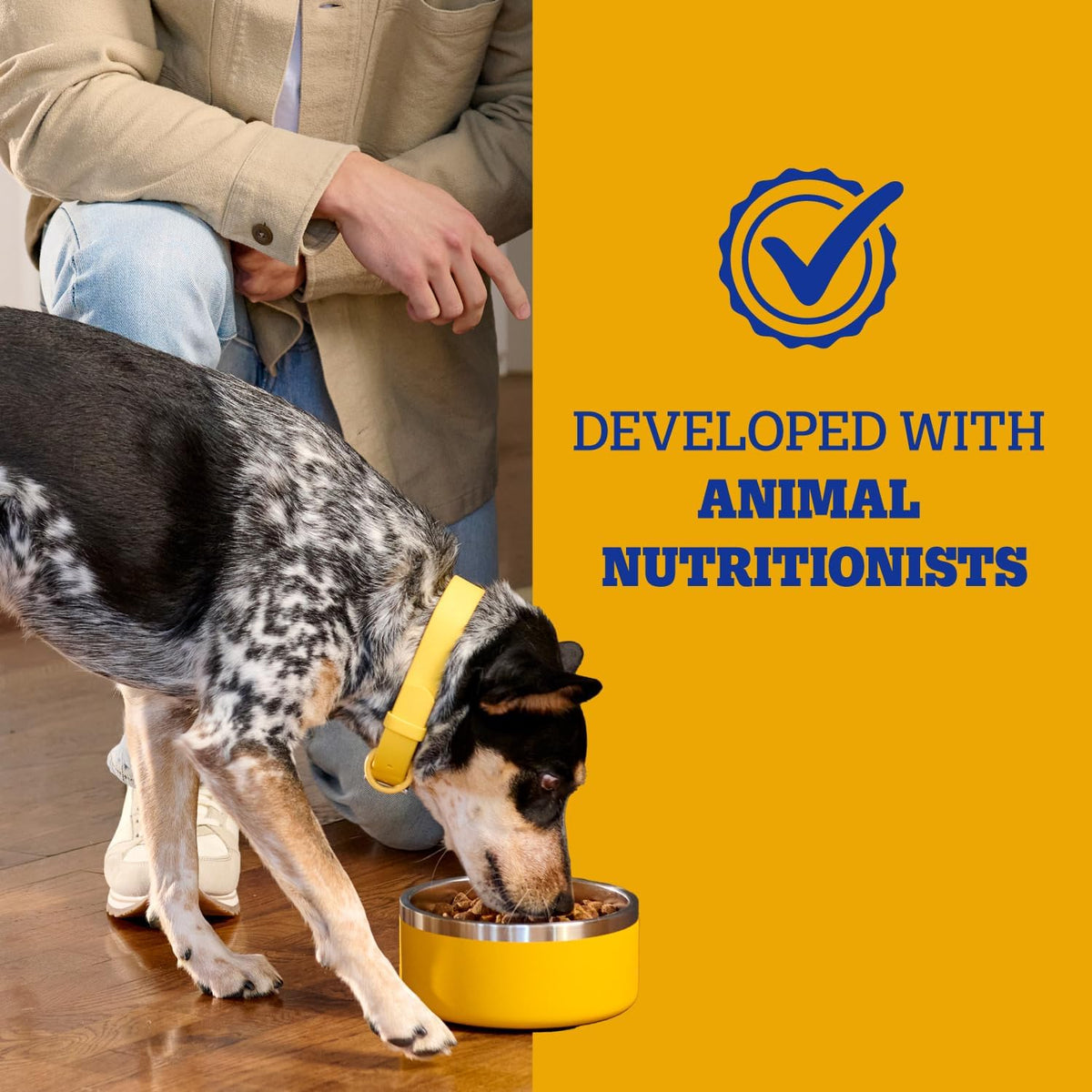 Pedigree Adult Complete Nutrition Dry Dog Food, Steak & Vegetable, 18 lb