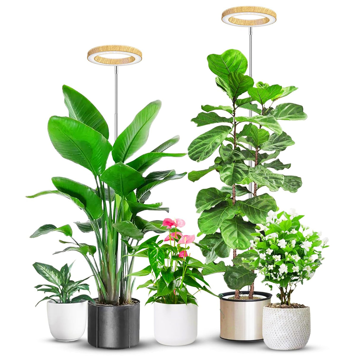 Aokrean Grow Lights for Indoor Plants Growing, Full Spectrum with Base Father Jim Norris notebooks
