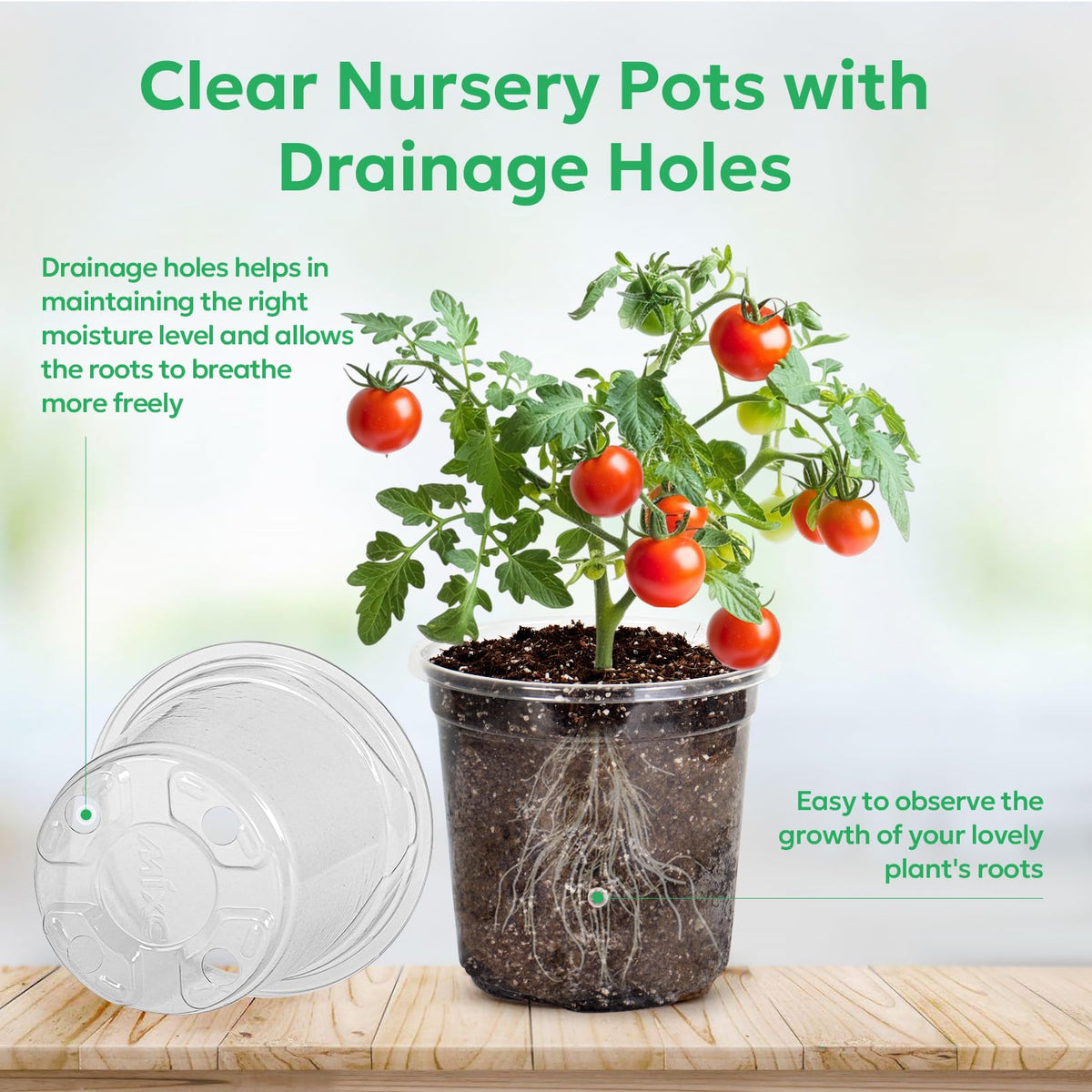 Bluepro Clear Nursery Pots with Humidity Domes, 4 Inch, 30-Pack Father Jim Norris notebooks