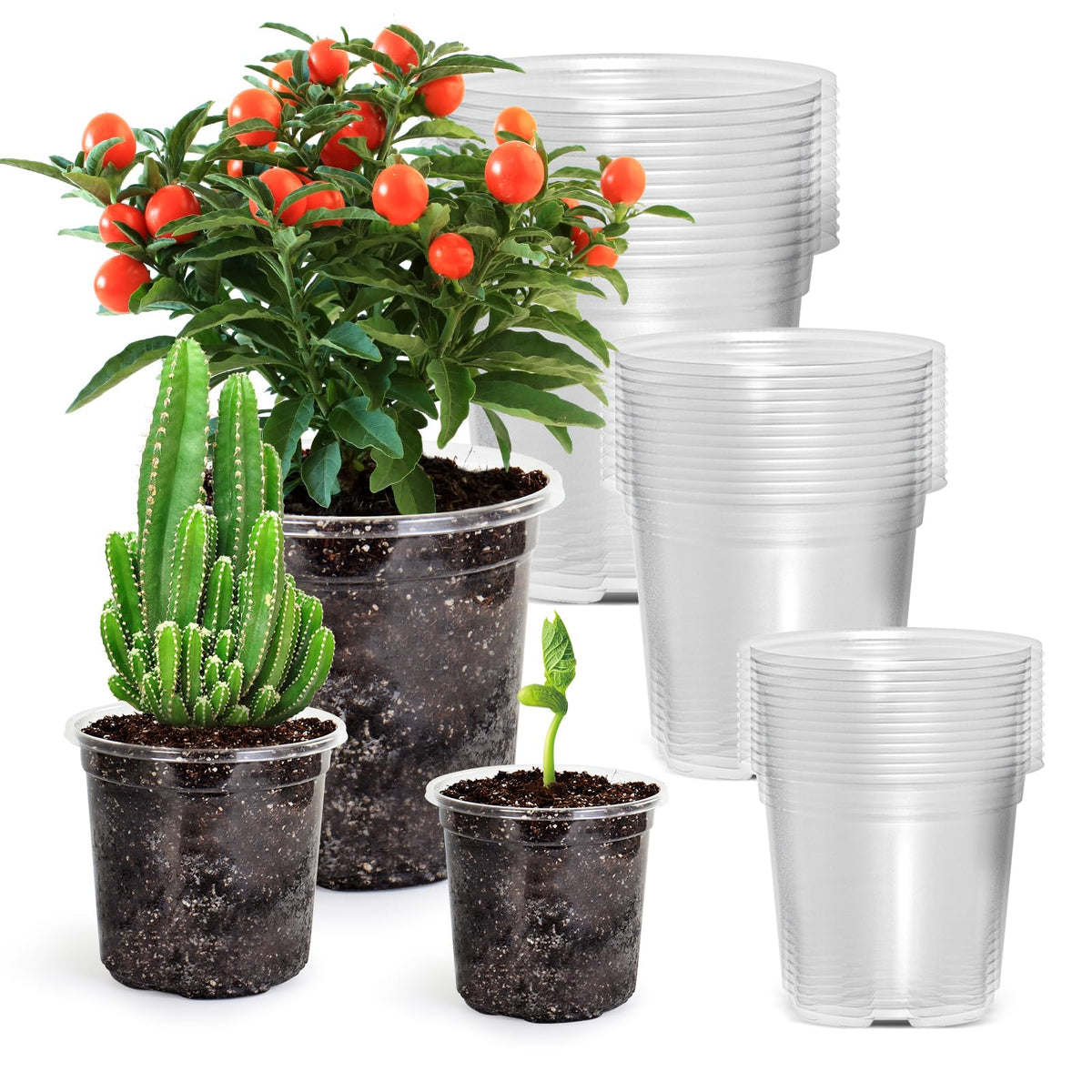 Bluepro Clear Nursery Pots with Humidity Domes, 4 Inch, 30-Pack Father Jim Norris notebooks
