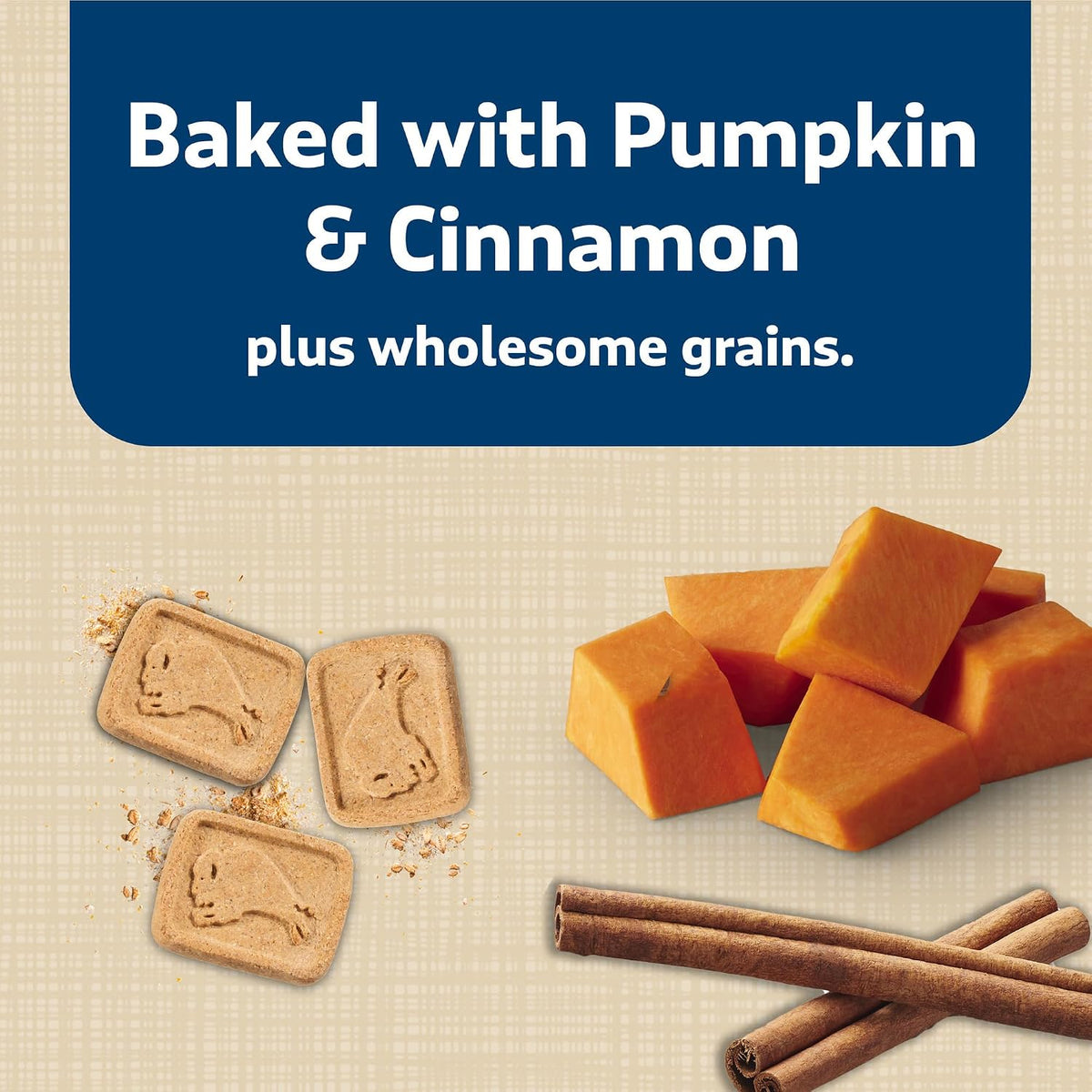 Blue Buffalo Health Bars Pumpkin & Cinnamon Dog Biscuits, 16 oz Father Jim Norris notebooks