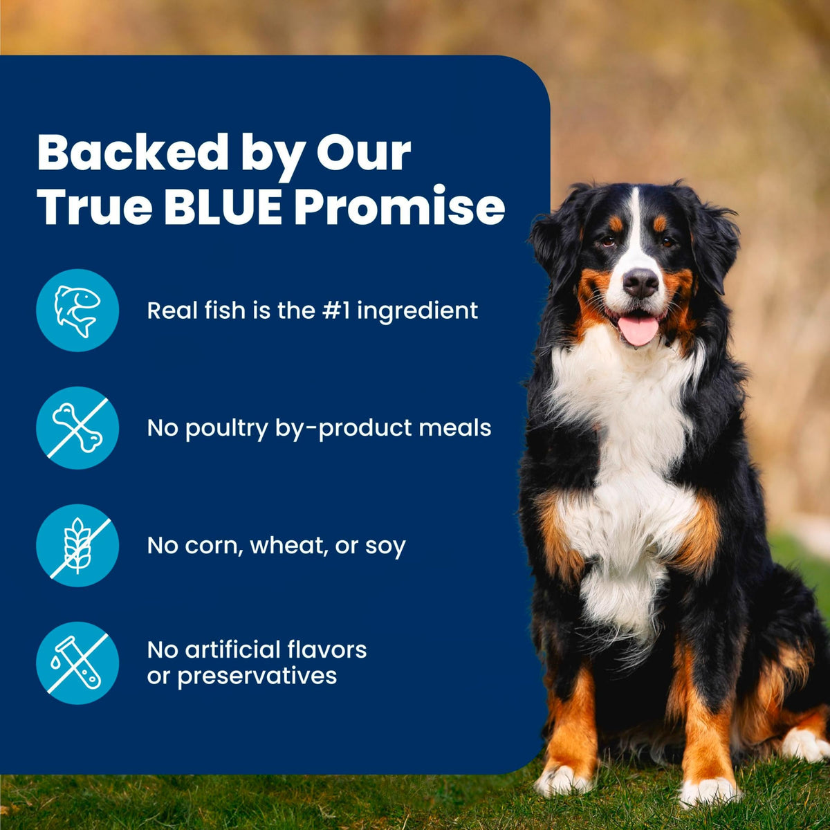 Blue Buffalo Life Protection Formula Chicken Adult Dry Dog Food, 5 lb Father Jim Norris notebooks