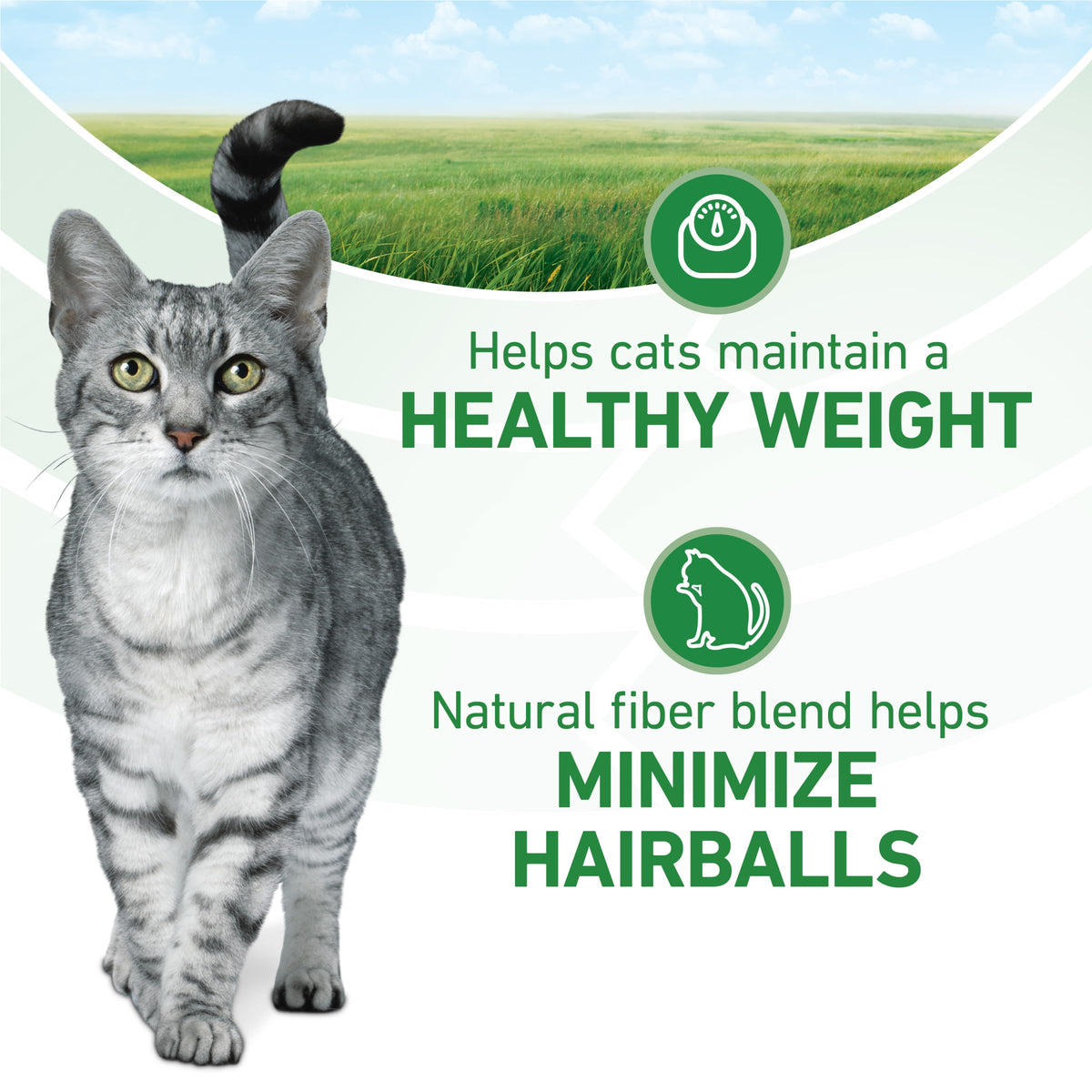Purina ONE Natural Indoor Dry Cat Food, +Plus Indoor Advantage