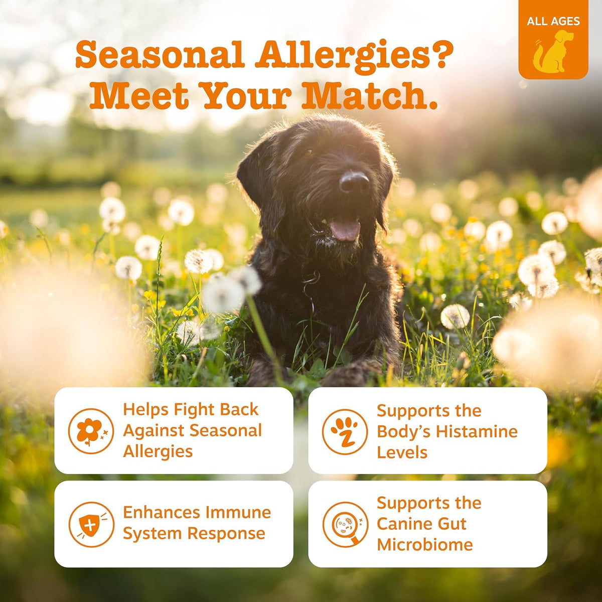 Zesty Paws Dog Allergy Chews - Dog Allergy Relief, Lamb, 90 Ct Father Jim Norris notebooks