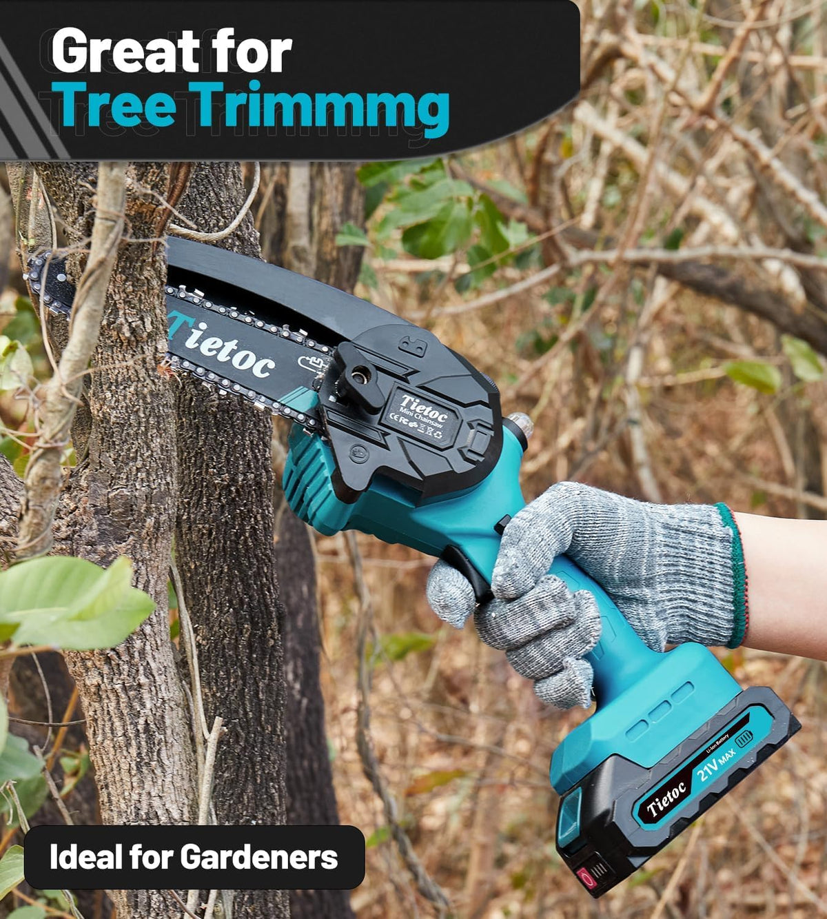 TIETOC 2-in-1 Brushless Pole Saw for Tree Trimming – 8" Mini Electric Chainsaw with 2×4000mAh Batteries, Auto Oiling, Tool-Free Adjustment,Cordless Battery Powered Saw for Home Garden Branch Cutting Father Jim Norris notebooks