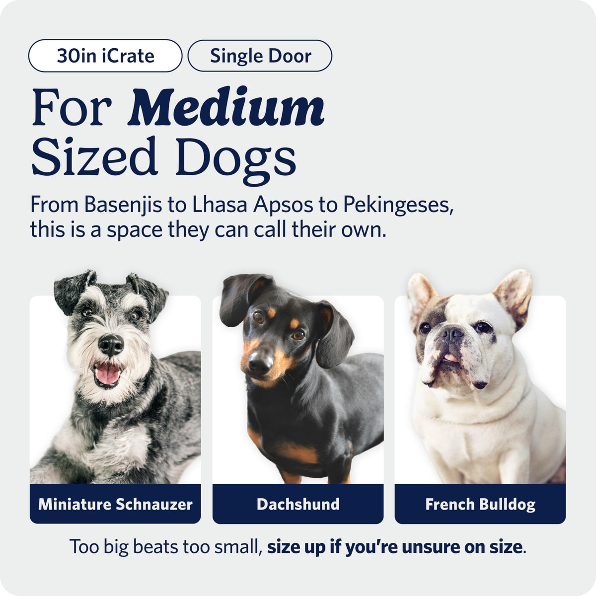 Midwest 36-Inch Single Door iCrate, for Medium-Large Breeds, 41-70 lbs