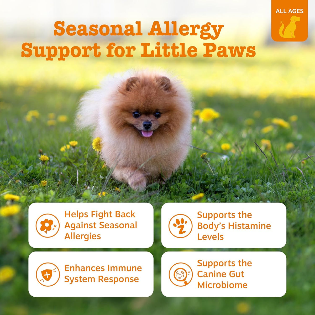 Zesty Paws Dog Allergy Chews - Dog Allergy Relief, Lamb, 90 Ct Father Jim Norris notebooks