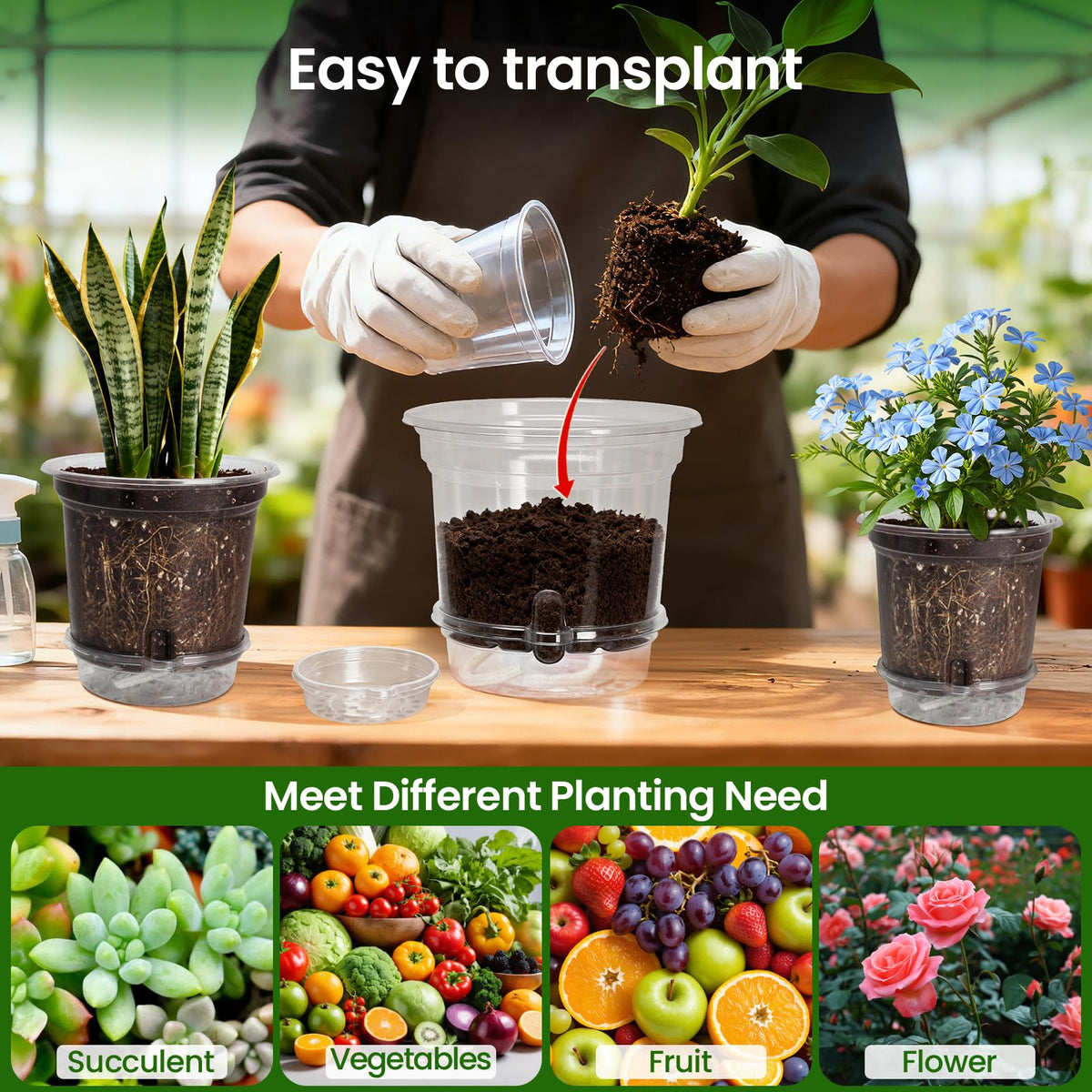 Bluepro Clear Nursery Pots with Humidity Domes, 4 Inch, 30-Pack Father Jim Norris notebooks