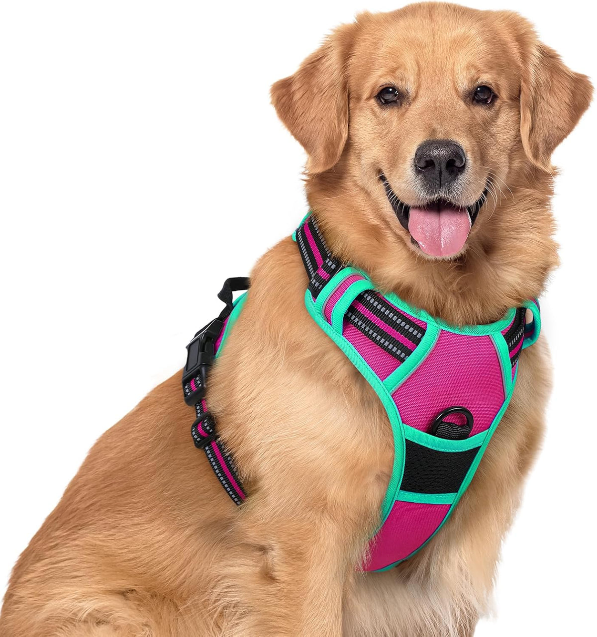 rabbitgoo Dog Harness, No Pull for Large Dogs with 2 Leash Clips, Pet Vest