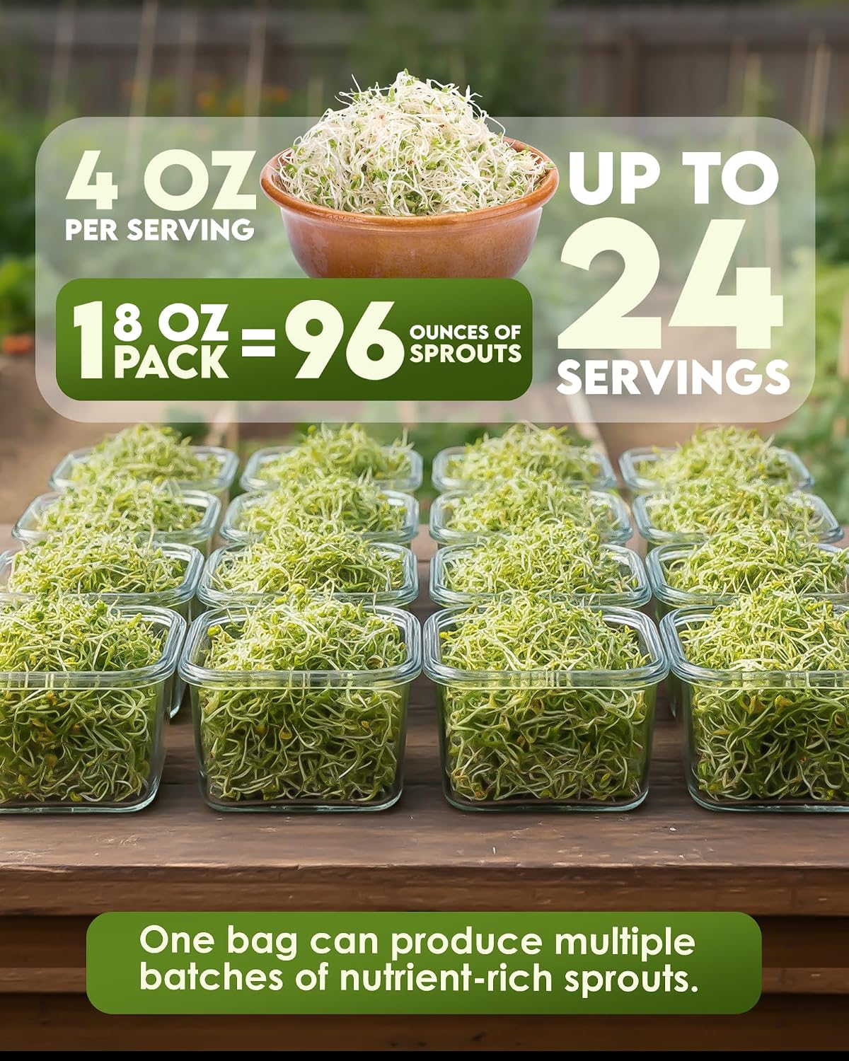 Nature Jim's Sprout Organic Broccoli Seeds – Non-GMO, Sprouting Seeds - 8oz Father Jim Norris notebooks
