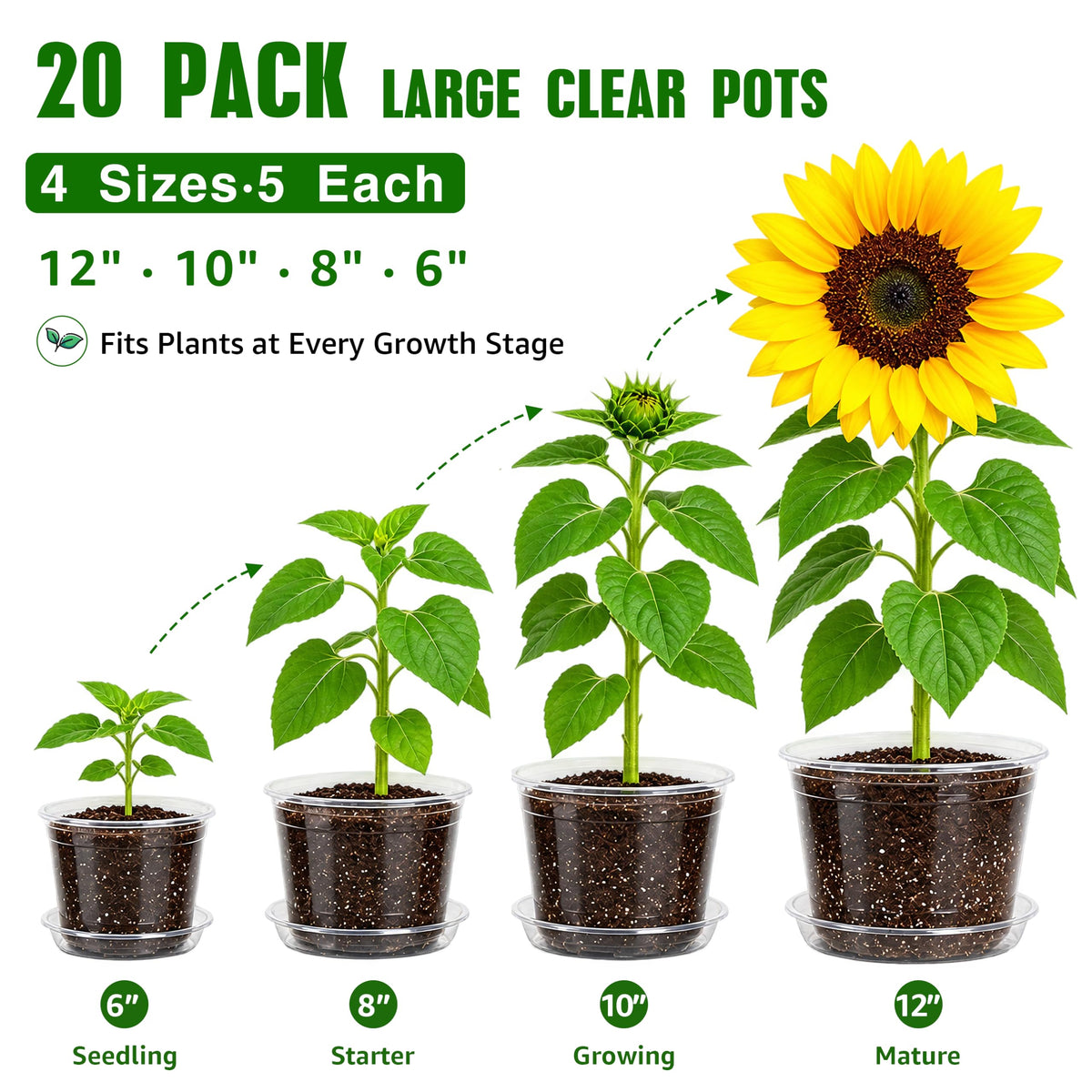 Bluepro Clear Nursery Pots with Humidity Domes, 4 Inch, 30-Pack Father Jim Norris notebooks