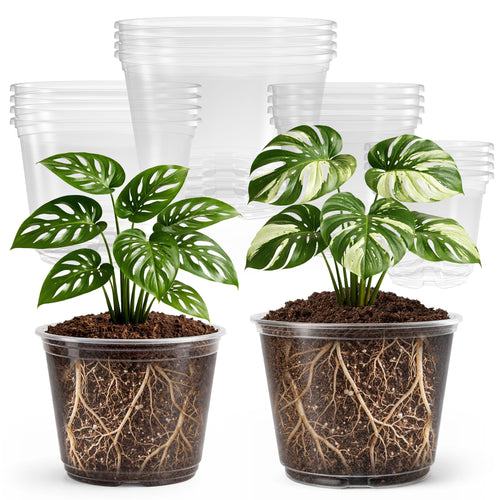 Bluepro Clear Nursery Pots with Humidity Domes, 4 Inch, 30-Pack Father Jim Norris notebooks