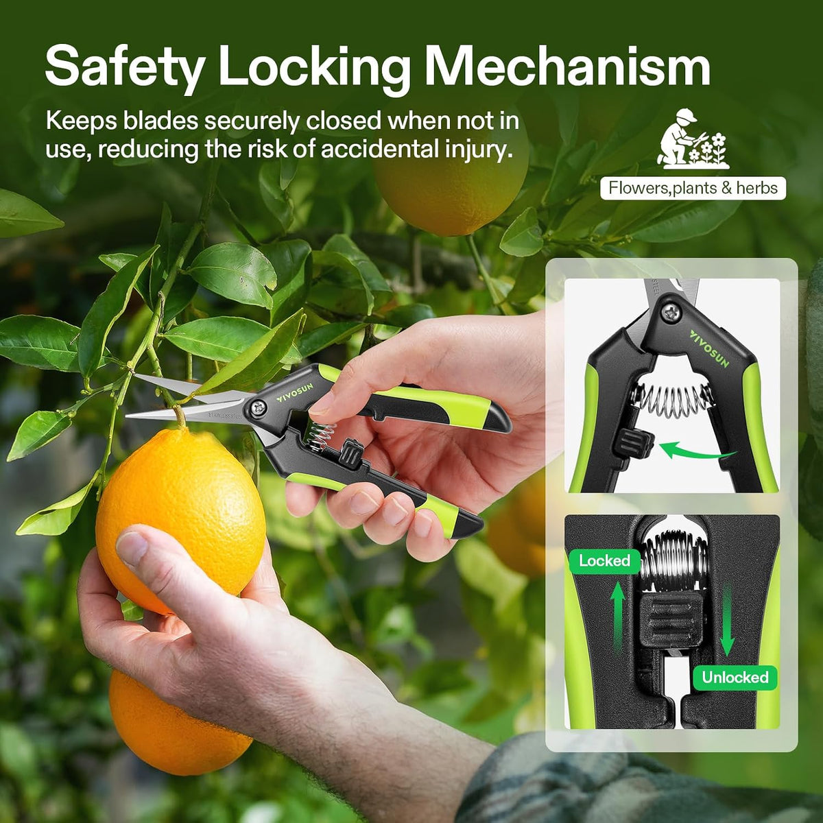VIVOSUN 6.5 Inch Gardening Scissors Hand Pruner Pruning Shear with Straight Stainless Steel Blades Orange 1-Pack Father Jim Norris notebooks
