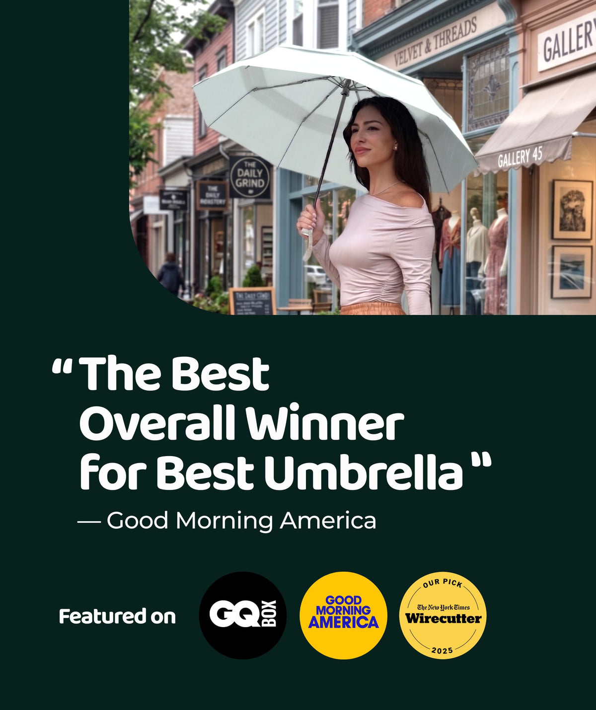 Windproof Travel Umbrella