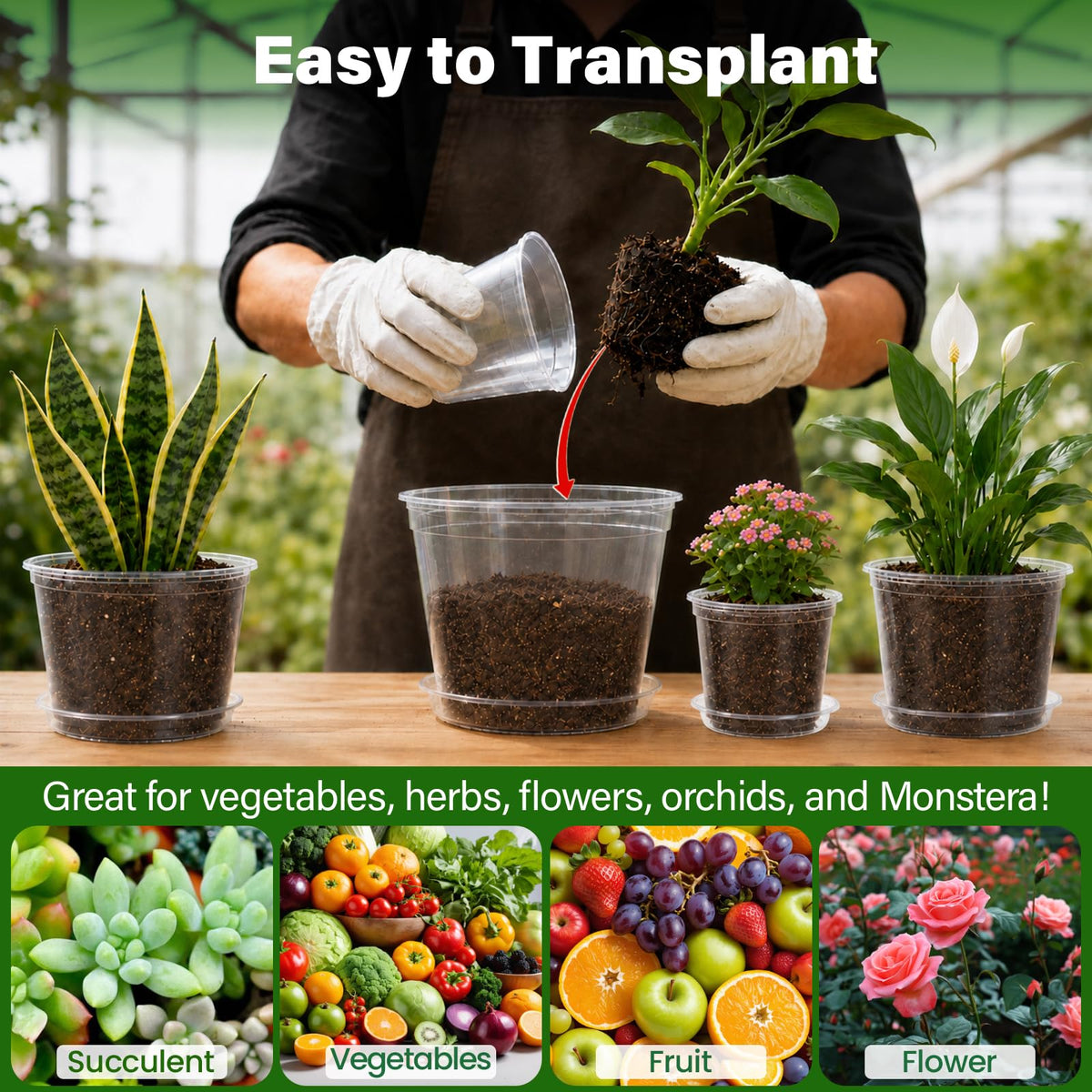 Bluepro Clear Nursery Pots with Humidity Domes, 4 Inch, 30-Pack Father Jim Norris notebooks