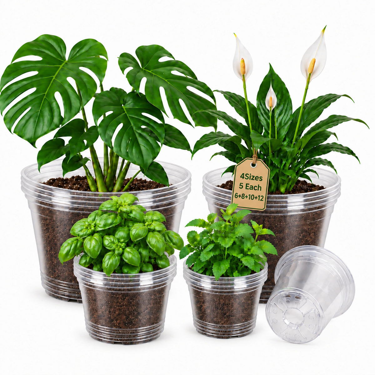 Bluepro Clear Nursery Pots with Humidity Domes, 4 Inch, 30-Pack Father Jim Norris notebooks