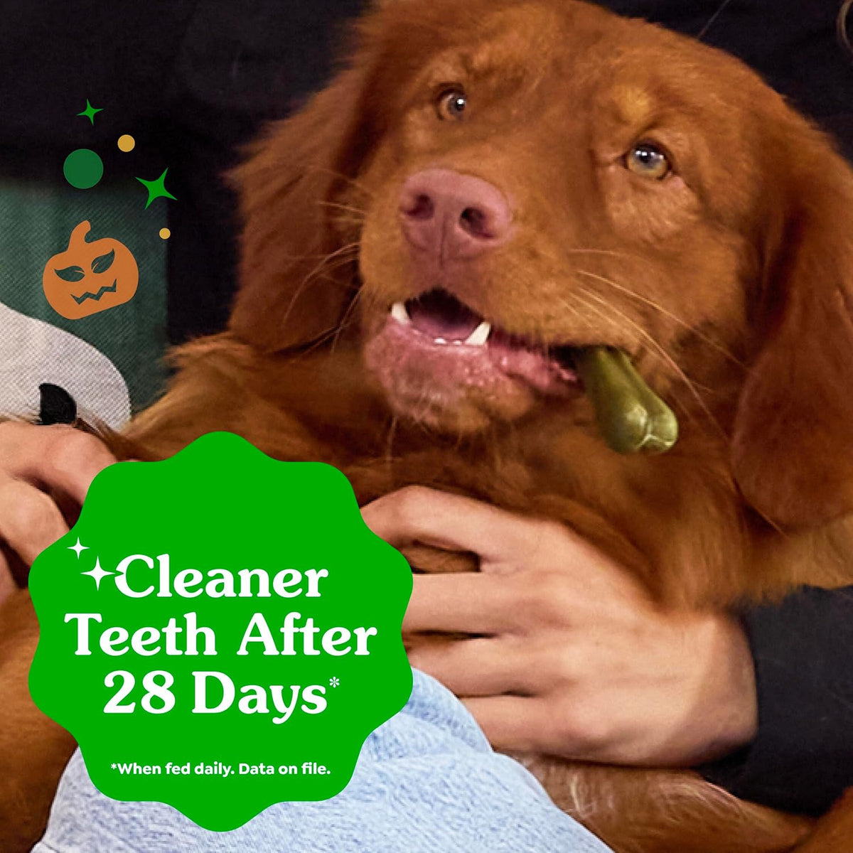 Greenies Teenie Original Natural Dental Dog Treats, Chicken, 96 Count Father Jim Norris notebooks