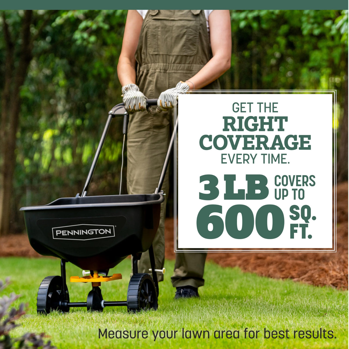 Pennington Kentucky 31 Tall Fescue Grass Seed, Drought-Resistant, 7 LB Father Jim Norris notebooks