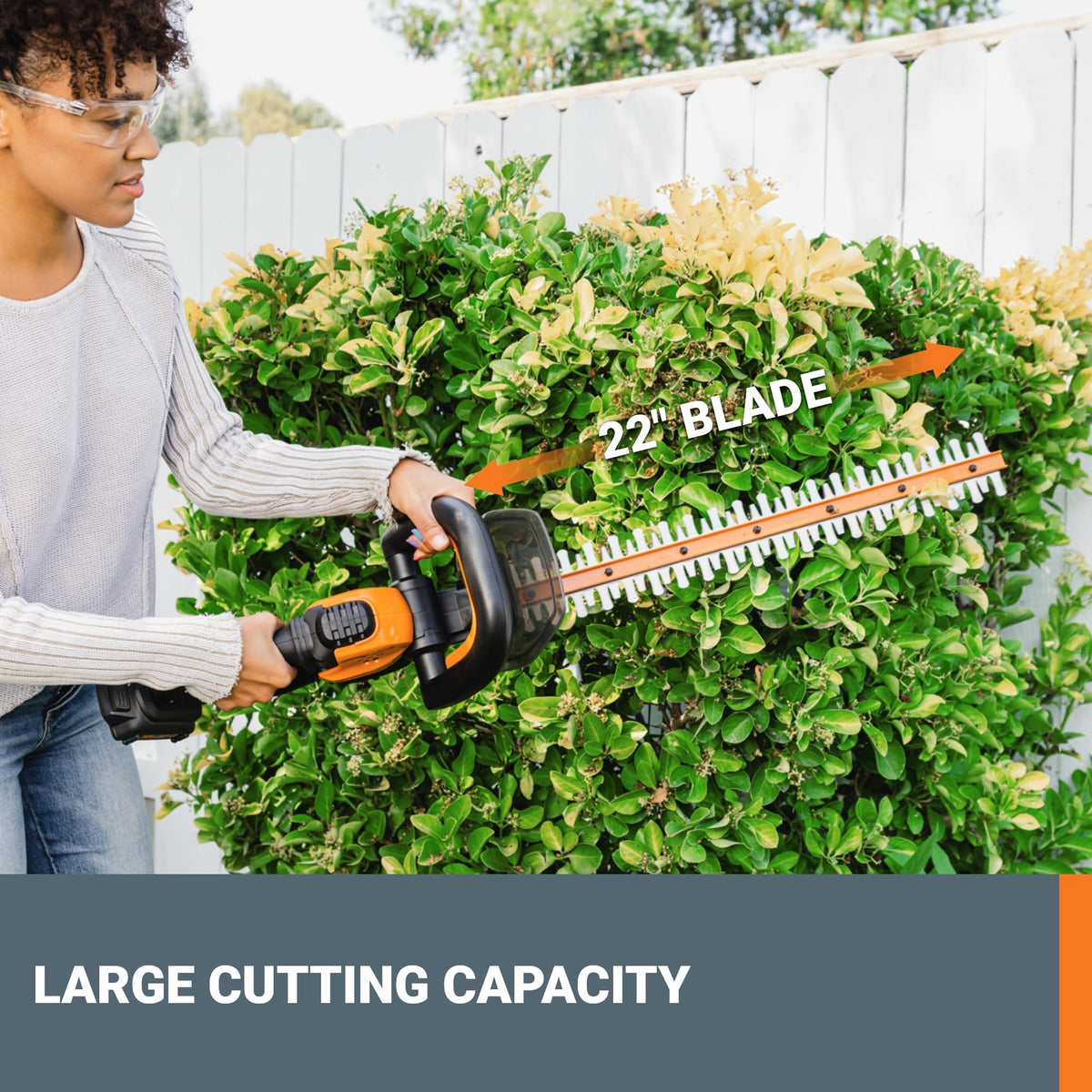 Worx 20V 12" 2-in-1 Cordless String Trimmer & Electric Lawn Edger, WG163.9 Father Jim Norris notebooks