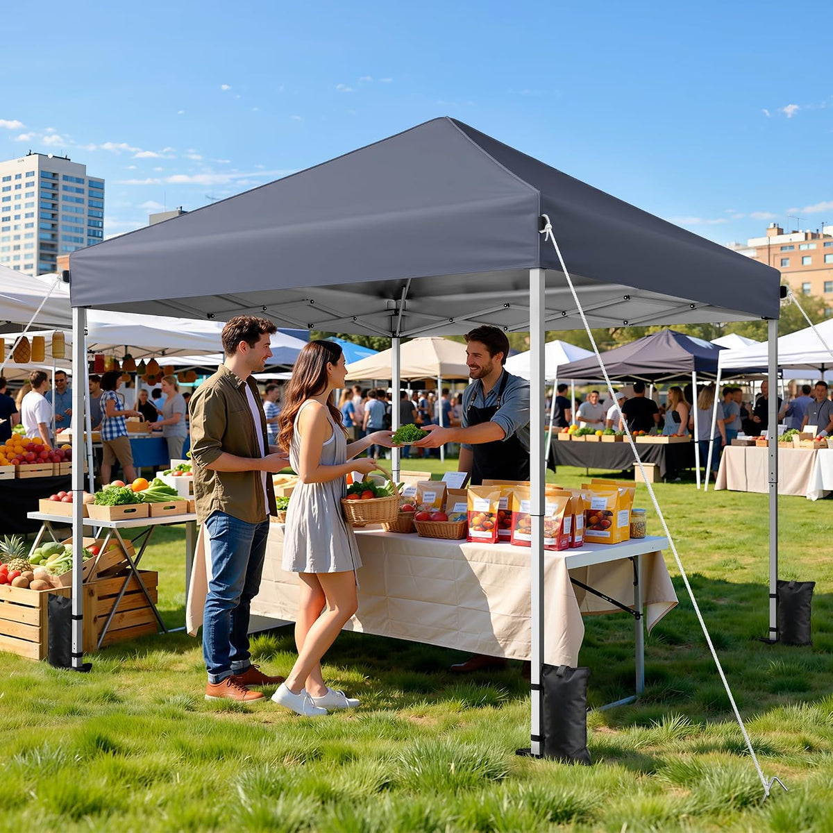 10x10 Pop Up Canopy Tent with One-Push Center Lock,Dark Gray Father Jim Norris notebooks