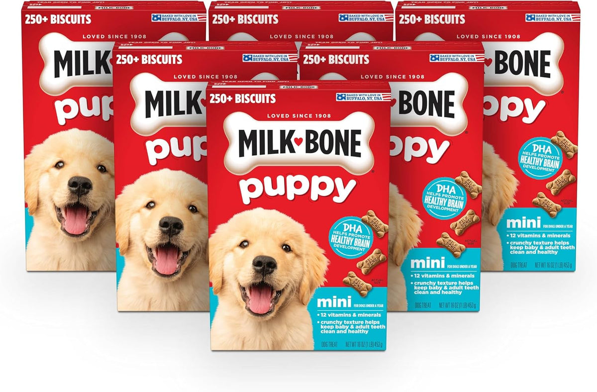 Milk-Bone Original Biscuits Large Dog Treats, 24 Ounce (Pack of 12) Father Jim Norris notebooks