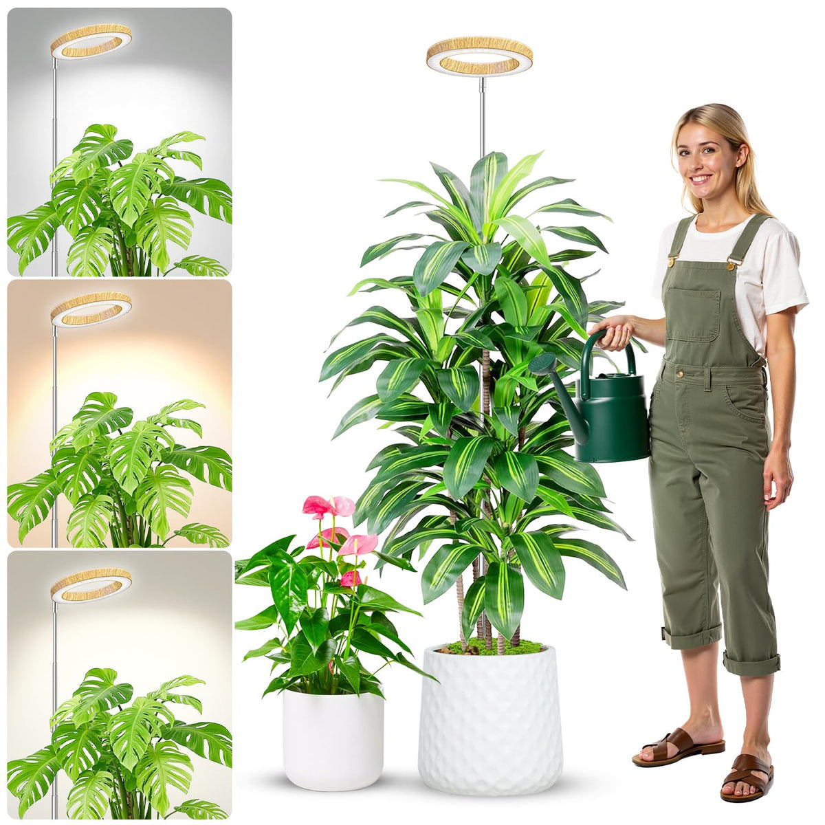 Aokrean Grow Lights for Indoor Plants Growing, Full Spectrum with Base Father Jim Norris notebooks