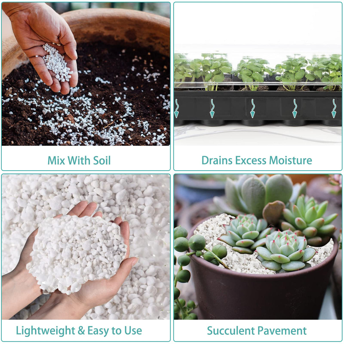 Legigo 4 Quarts Organic Perlite for Plants Indoor, Soil Mix Amendment Father Jim Norris notebooks