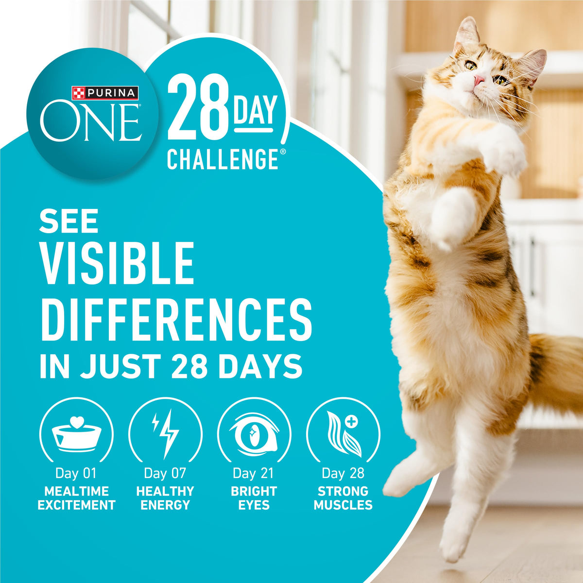 Purina ONE Natural Indoor Dry Cat Food, +Plus Indoor Advantage