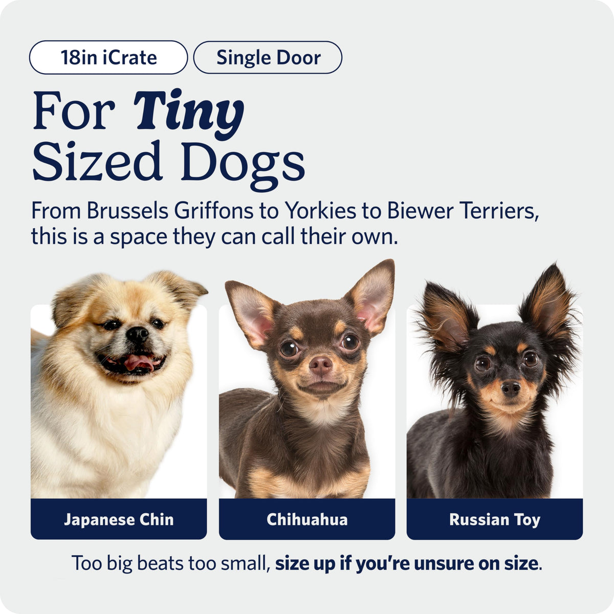 Midwest 36-Inch Single Door iCrate, for Medium-Large Breeds, 41-70 lbs