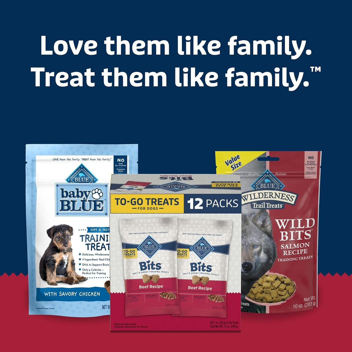 Blue Buffalo Health Bars Pumpkin & Cinnamon Dog Biscuits, 16 oz Father Jim Norris notebooks