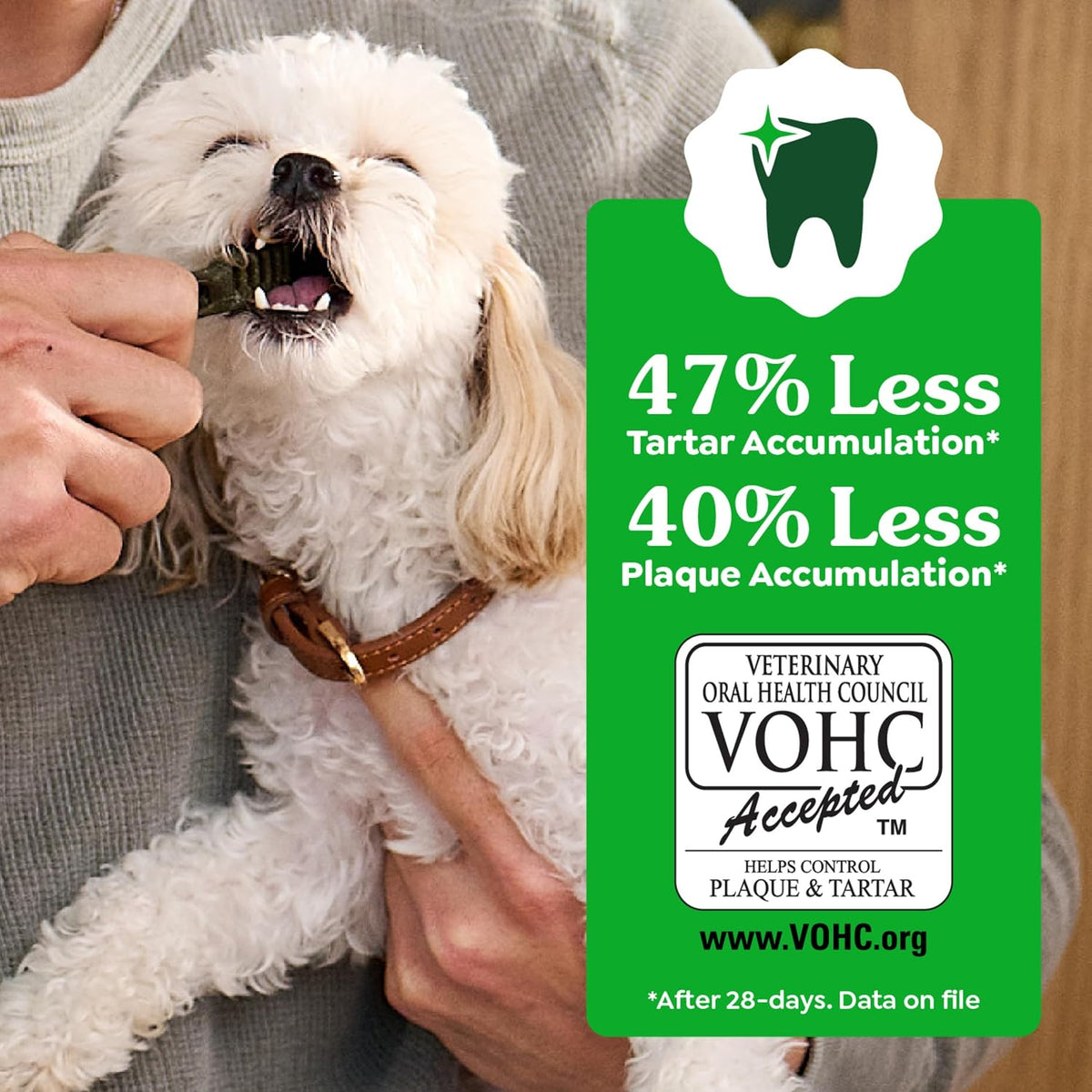 Greenies Teenie Original Natural Dental Dog Treats, Chicken, 96 Count Father Jim Norris notebooks