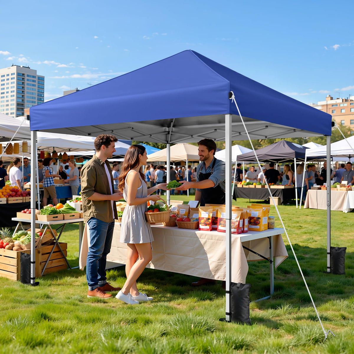 10x10 Pop Up Canopy Tent with One-Push Center Lock,Dark Gray Father Jim Norris notebooks