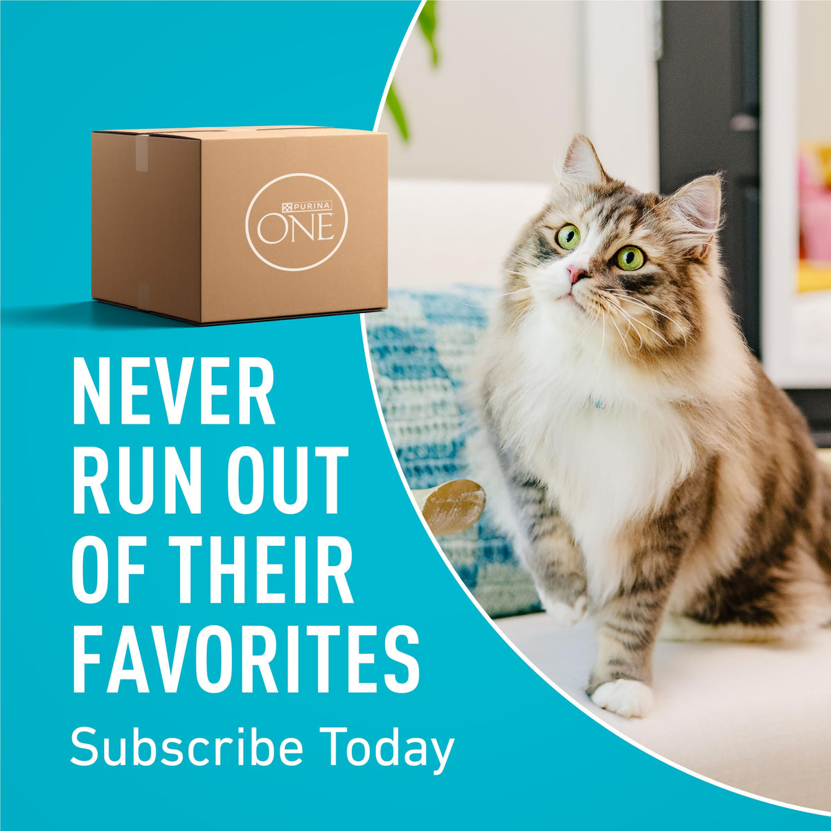 Purina ONE Natural Indoor Dry Cat Food, +Plus Indoor Advantage