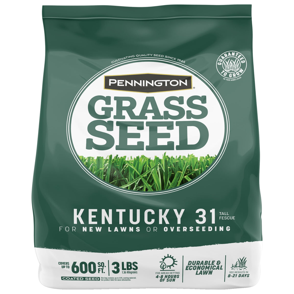 Pennington Kentucky 31 Tall Fescue Grass Seed, Drought-Resistant, 7 LB Father Jim Norris notebooks