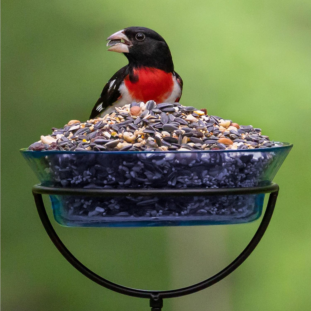 Audubon Park Extreme Variety Wild Bird Seed for Outside Feeders, 15-lb. Bag Father Jim Norris notebooks