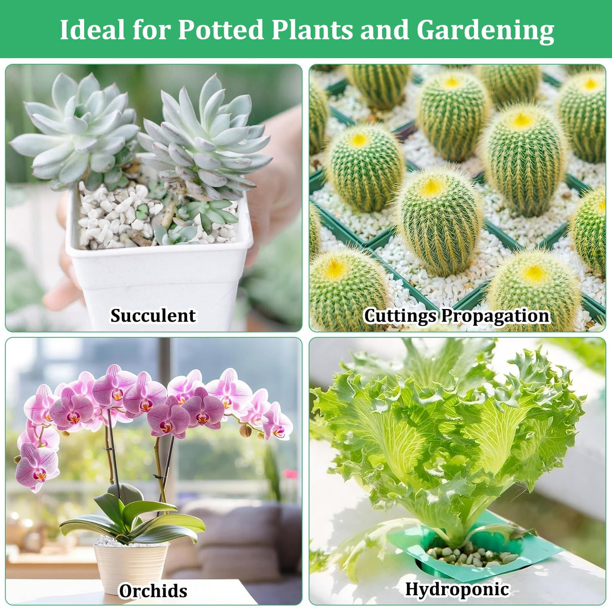 Legigo 4 Quarts Organic Perlite for Plants Indoor, Soil Mix Amendment Father Jim Norris notebooks