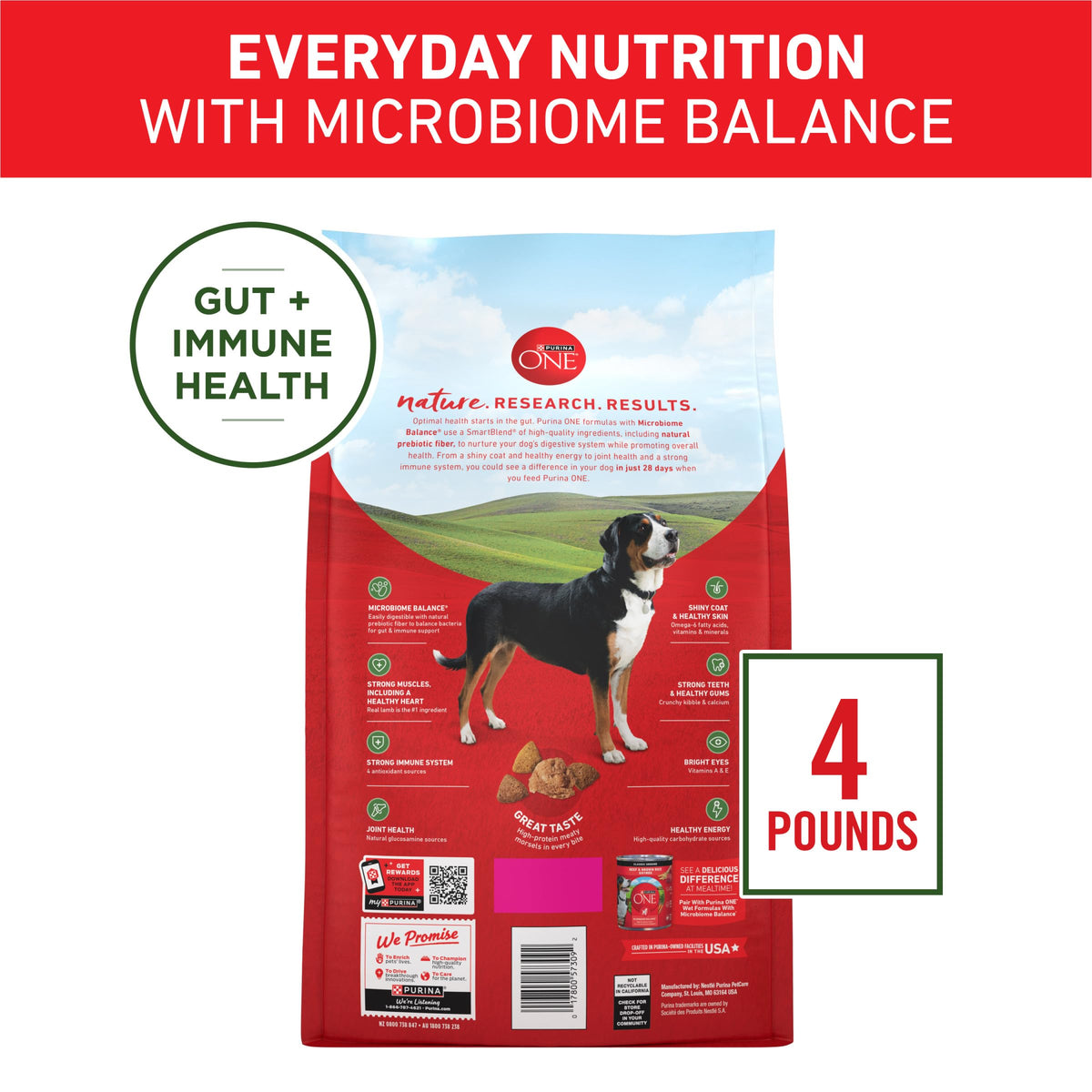 Purina ONE Lamb and Rice Formula Dry Dog Food for Digestive Support