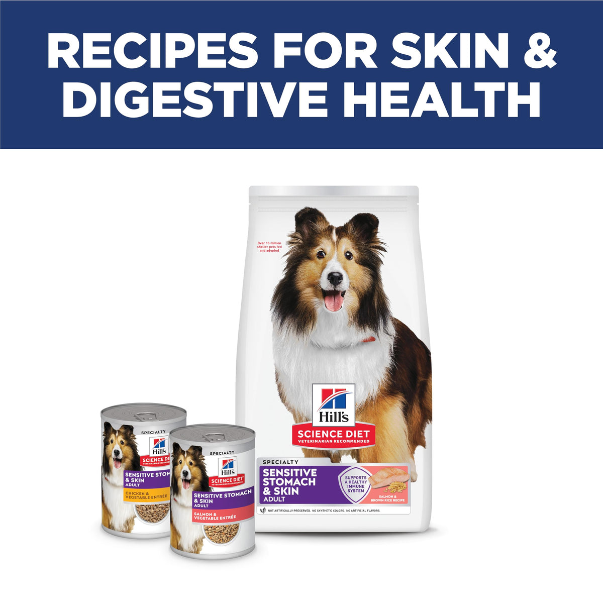 Hill's Science Diet Sensitive Stomach & Skin Dry Dog Food