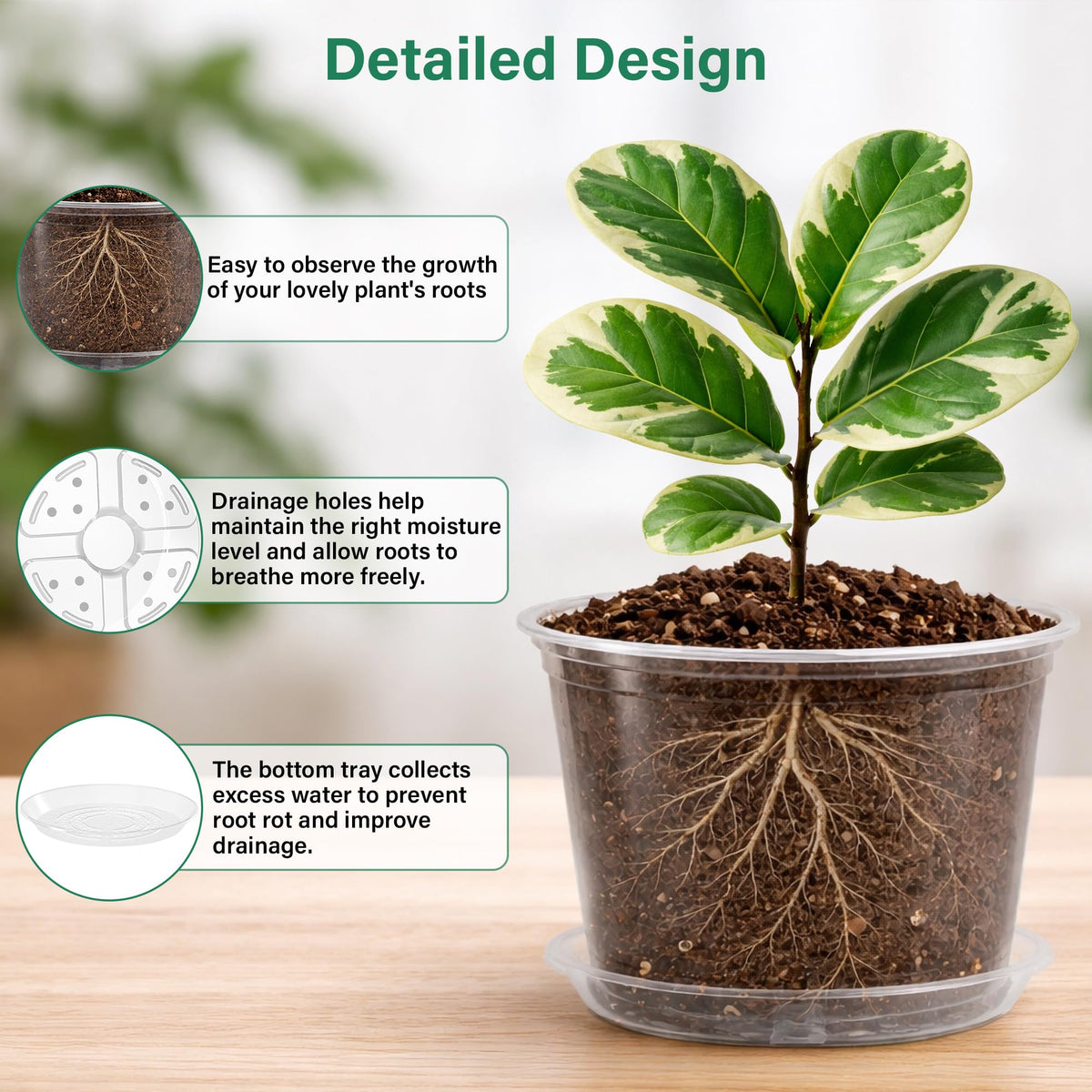 Bluepro Clear Nursery Pots with Humidity Domes, 4 Inch, 30-Pack Father Jim Norris notebooks