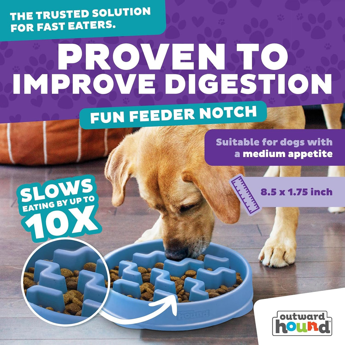 Outward Hound Fun Feeder Slo Bowl Dog Slow Feeder, Notch, Blue, 8.8"