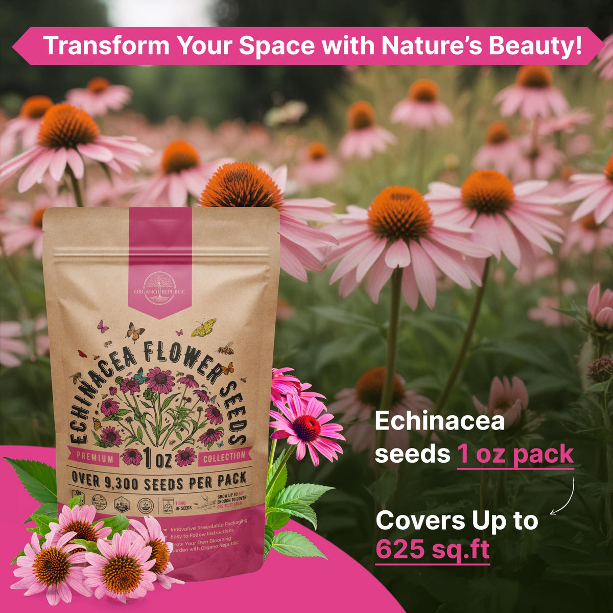 Cosmos Flower Seeds Pack 1 oz - 4,500 Non-GMO Heirloom Annual Seeds for Planting Indoor & Outdoor Gardening, Flower Seed for Garden in Resealable Packet, Floral Mix for Pollinators Perennial Mix Father Jim Norris notebooks