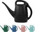CHAPIN 48000 1/2-Gallon Watering Can, Lightweight for Easy Watering Father Jim Norris notebooks