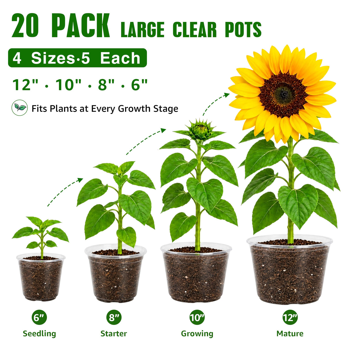 Bluepro Clear Nursery Pots with Humidity Domes, 4 Inch, 30-Pack Father Jim Norris notebooks