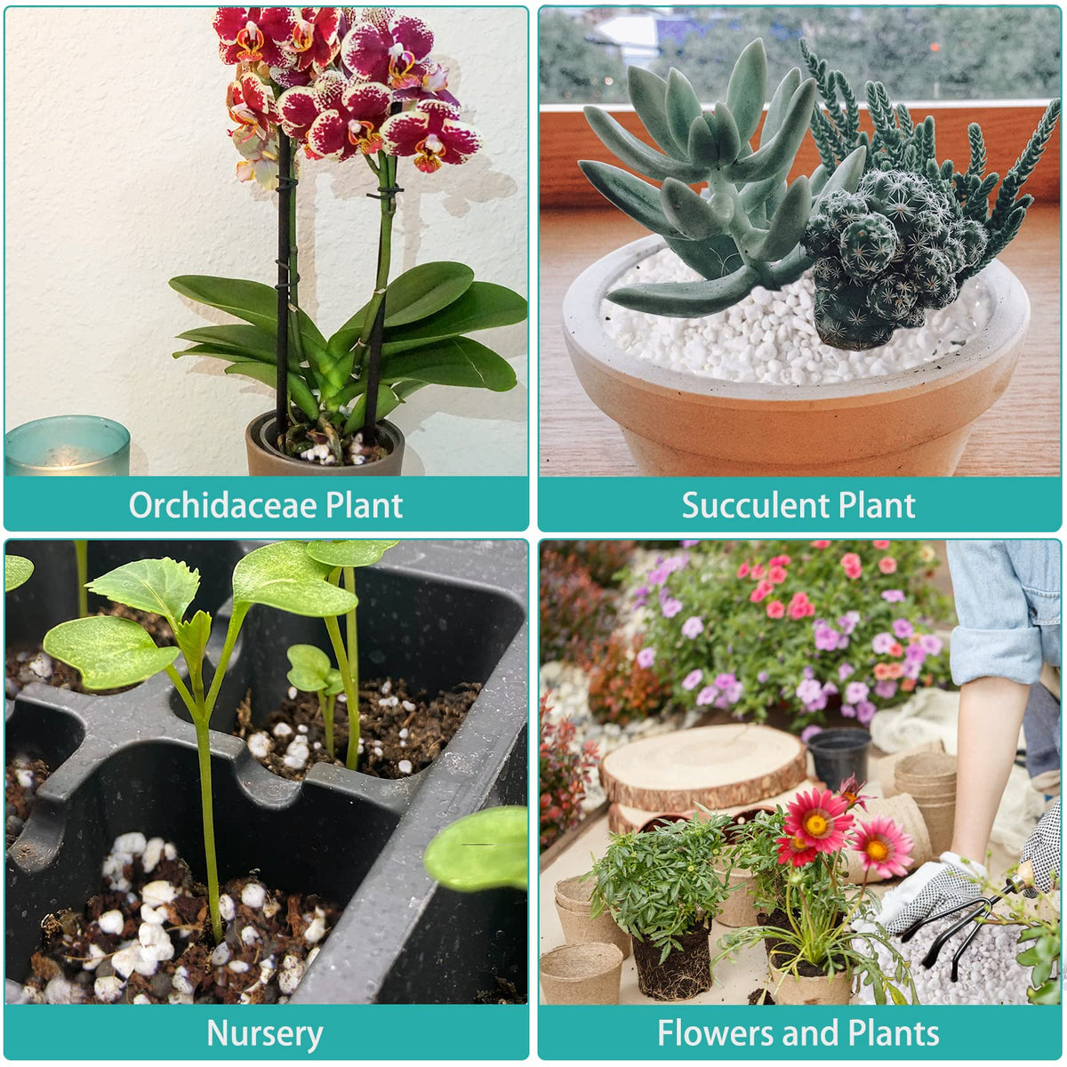 Legigo 4 Quarts Organic Perlite for Plants Indoor, Soil Mix Amendment Father Jim Norris notebooks