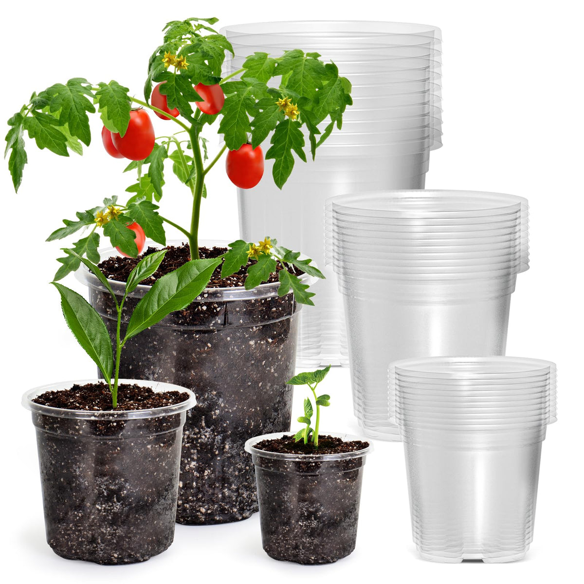 Bluepro Clear Nursery Pots with Humidity Domes, 4 Inch, 30-Pack Father Jim Norris notebooks