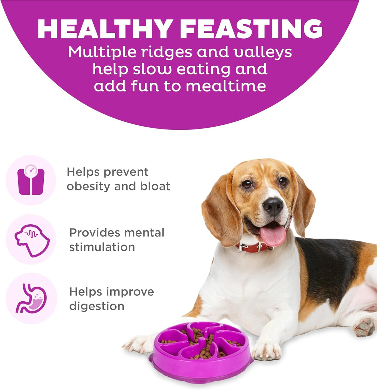 Outward Hound Fun Feeder Slo Bowl Dog Slow Feeder, Notch, Blue, 8.8"